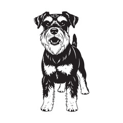 An iconic Miniature Schnauzer representation, clearly identifying the beloved breed - Miniature Schnauzer silhouette - Miniature Schnauzer Vector - Silhouette of Miniature Schnauzer - dog vector

