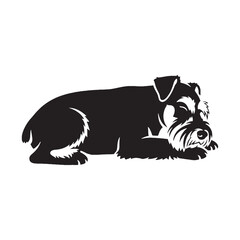 Showcasing a cute Miniature Schnauzer dog form, simple yet impactful for designs - Miniature Schnauzer silhouette - Miniature Schnauzer Vector - Silhouette of Miniature Schnauzer - dog vector

