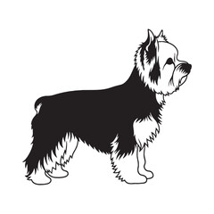 Presenting a standard Yorkshire Terrier illustration, easy to use and adapt - Yorkshire Terrier silhouette - Yorkshire Terrier Vector - Silhouette of Yorkshire Terrier - dog vector

