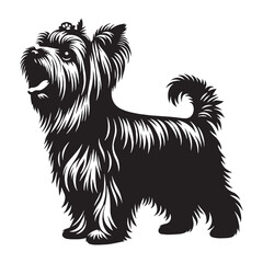 A charming Yorkshire Terrier breed design, perfect for various artistic projects - Yorkshire Terrier silhouette - Yorkshire Terrier Vector - Silhouette of Yorkshire Terrier - dog silhouette

