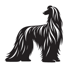 A regal Afghan Hound dog outline, reflecting its sophisticated disposition - Afghan Hound silhouette - Afghan Hound Vector - Silhouette of Afghan Hound - dog silhouette

