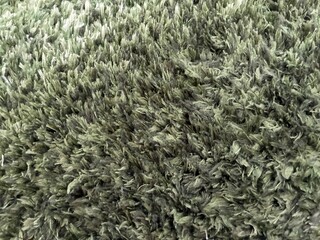 Carpet texture.