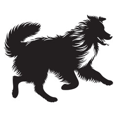 A beautiful Australian Shepherd graphic, a high-quality digital asset for creations - Australian Shepherd silhouette - Australian Shepherd Vector - Silhouette of Australian Shepherd - dog silhouette

