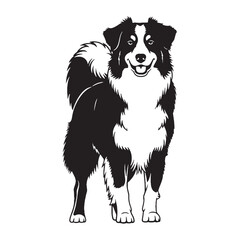 A proud Australian Shepherd figure image, an elegant graphic resource for projects - Australian Shepherd silhouette - Australian Shepherd Vector - Silhouette of Australian Shepherd - dog silhouette

