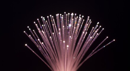 Ethereal Fiber Optic Light Display Illuminating a Dark Background