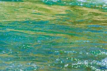 初夏の水辺　清流の流れ水面のアップ　165