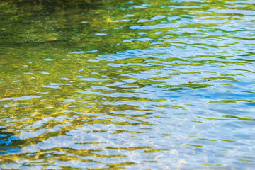 初夏の水辺　清流の流れ水面のアップ　168