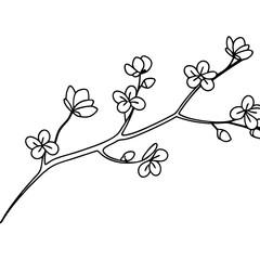 Simple cherry blossom twig illustration. Delicate branch with small flowers and buds. Line art design perfect for spring themed projects, cards, and invitations.