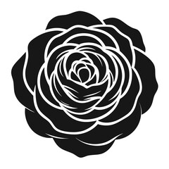 Ranunculus Vector Icon Set | Botanical Floral Collection