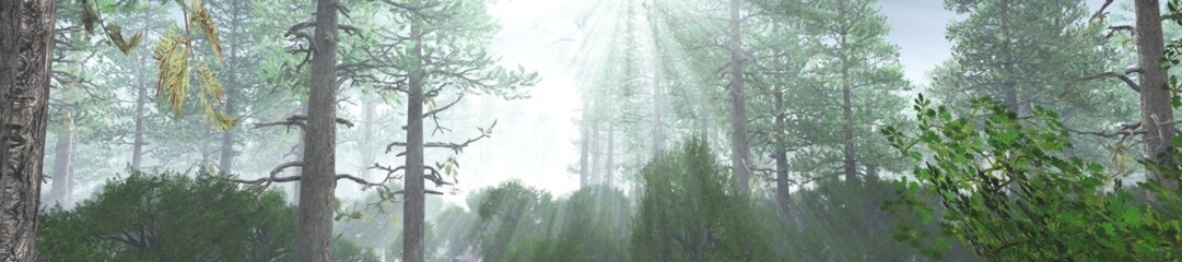 Forest in the morning in a fog in the sun, trees in a haze of light, glowing fog among the trees, 3D rendering