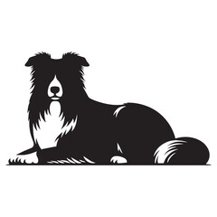 A versatile Border Collie design asset, offering a clean, modern vector - Border Collie silhouette - Border Collie Vector - Silhouette of Border Collie - dog silhouette

