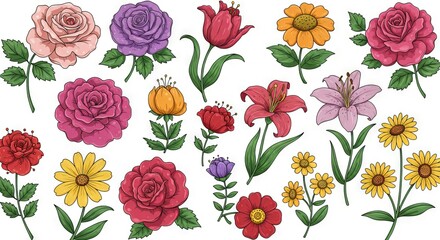 Assorted Flower Collection with Colorful Blooms and Green Leaves