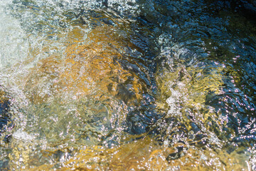 初夏の水辺　清流の流れ水面のアップ　189