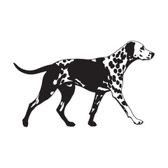 An exceptionally refined Dalmatian line art, perfect for intricate details - Dalmatian silhouette - Dalmatian Vector - Silhouette of Dalmatian - dog silhouette

