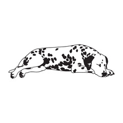 A versatile Dalmatian design asset, offering a clean, modern vector - Dalmatian silhouette - Dalmatian Vector - Silhouette of Dalmatian - dog silhouette

