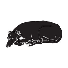 A modern Greyhound silhouette, featuring clean, contemporary lines - Greyhound silhouette - Greyhound Vector - Silhouette of Greyhound - dog silhouette

