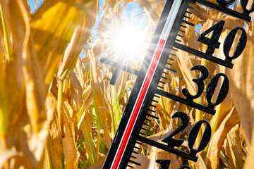 Ein Thermometer zeigt auf seiner Skala große Hitze bis 40 Grad und Wassernot - FOTOMONTAGE