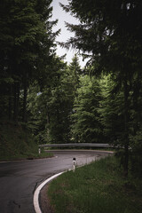Fototapeta premium A vertical photograph of a paved asphalt road winding through a lush green forest. Tall trees line both sides, creating a natural corridor that draws the viewer's eye into the distance.