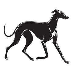 Presenting a classic Greyhound breed profile, with clean, sharp edges - Greyhound silhouette - Greyhound Vector - Silhouette of Greyhound - dog vector

