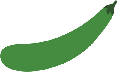 vector illustration of a long green eggplant