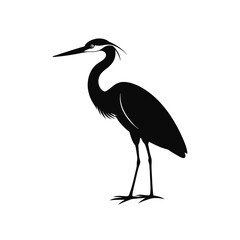 Elegant heron bird silhouette isolated on white background