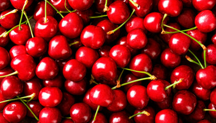  Fresh red cherries densely filling the entire frame. High quality photo