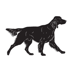A proud Irish Setter figure image, an elegant graphic resource for projects - Irish Setter silhouette - Irish Setter Vector - Silhouette of Irish Setter - dog silhouette

