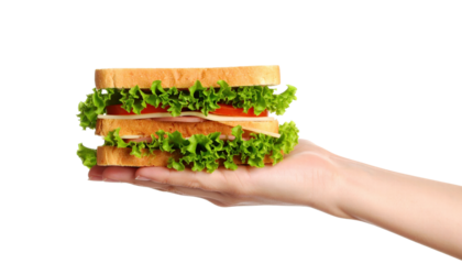 Fresh sandwich with lettuce and tomato held in hand, showing healthy and appetizing meal