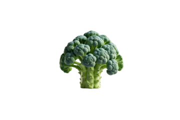 fresh vegetable on white background - 1