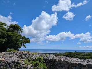 沖縄北部　やんばるの美しい森と海