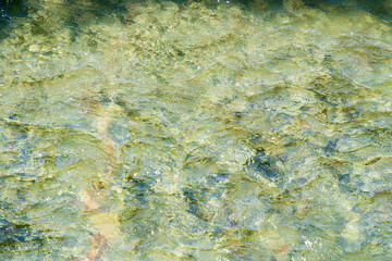 初夏の水辺　清流の流れ水面　244