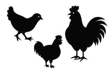 chicken silhouettes.eps