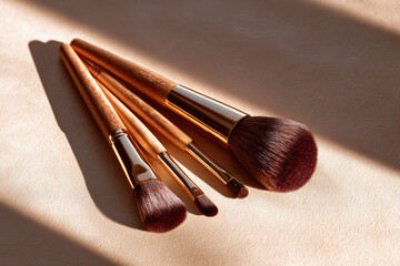Luxurious makeup brushes with wooden handles and soft bristles arranged elegantly on smooth surface, showcasing their high quality design and craftsmanship