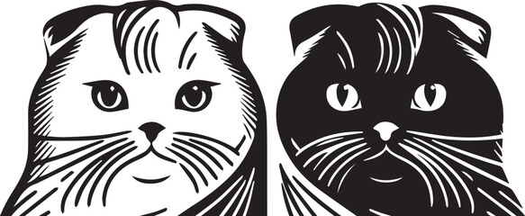 Scottish Fold Cat Vector in black and white