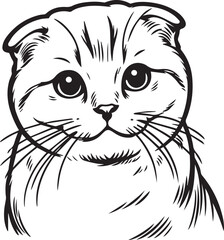 Obraz premium Scottish Fold Cat Vector in black and white