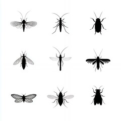 Large Set of Aquatic Insect Silhouettes on a Plain Background