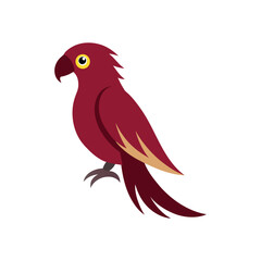 Vibrant maroon parrot bird illustration isolated on white background