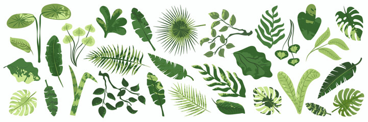 Collection of exotic tropical leaves. Hawaiian plants set. Vector elements isolated on a white background. Realistic botanical illustration in a modern flat style