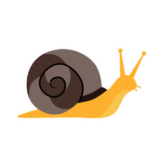 Colorful vector illustration of a snail with a brown spiral shell and orange body. Perfect for nature, slow movement concepts, or children's educational designs