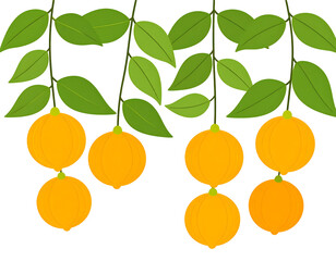 Bright oranges and verdant leaves create a refreshing natural display on delicate stems.