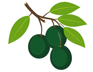 An artistic rendering of a natural branch showcasing three plump green fruits amidst verdant foliage.