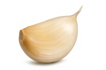 Single garlic clove isolated on transparent background