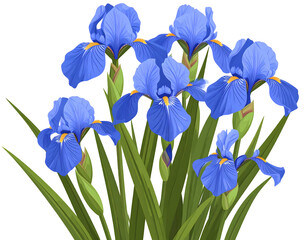 Vivid blue irises with striking yellow accents and lush green foliage bloom gracefully, showcasing nature's beauty.