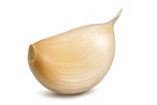 Single garlic clove isolated on transparent background