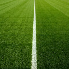Obraz premium well-maintained green grass field with a thick white line running horizontally across the center. Thick horizontal white painted line is running across green grass turf in flat vector illustration