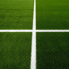 Obraz premium well-maintained green grass field with a thick white line running horizontally across the center. Thick horizontal white painted line is running across green grass turf in flat vector illustration