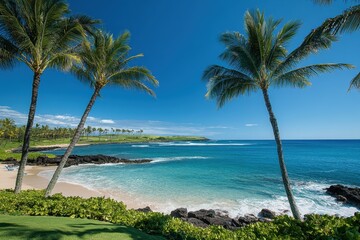 Naklejka premium A beautiful beach with palm trees and a clear blue ocean, A picturesque beach with swaying palm trees and a sparkling blue ocean