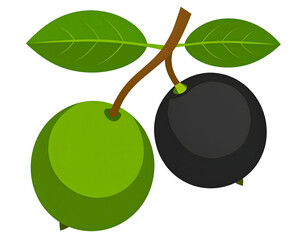 An artistic rendering of two olives, one green and one black, growing on a small leafy branch.