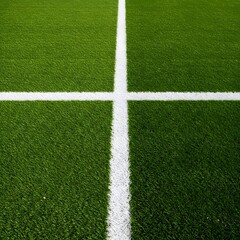 Fototapeta premium a green grass field with a thick white line running horizontally across the center. wallpaper, Thick horizontal white painted line is running across green grass turf in flat vector illustration