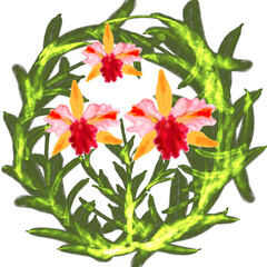 Frame of green orchid plant 